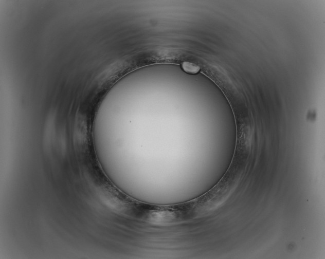 X0000096960220200802151243