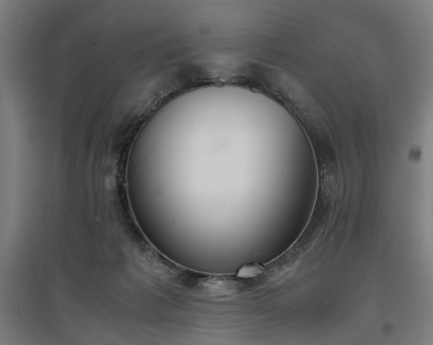 X0000096960221200802151243