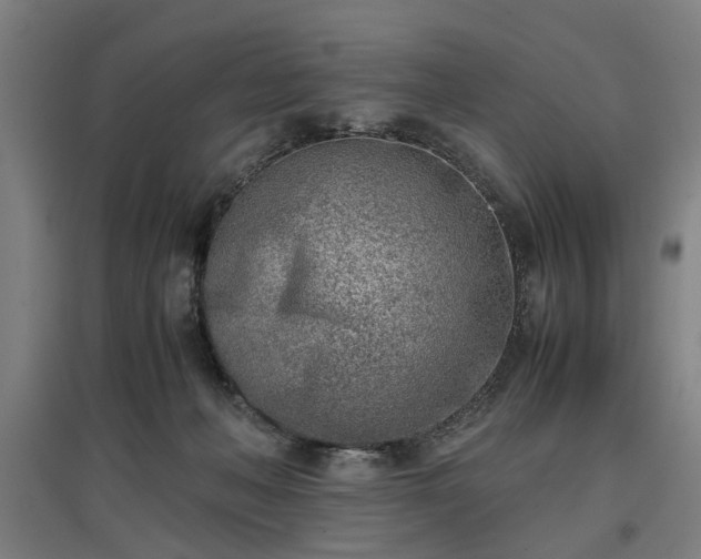 X0000096960222200802151243