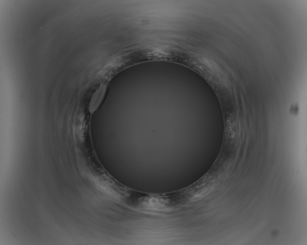 X0000096960223200802151243