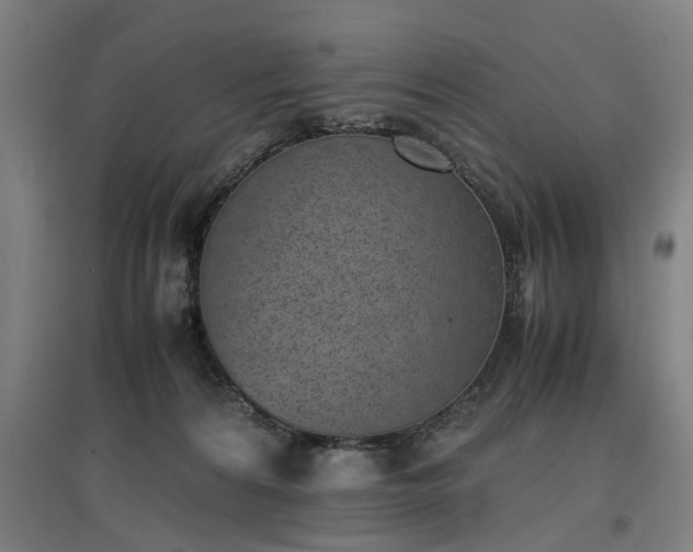 X0000096960224200802151243