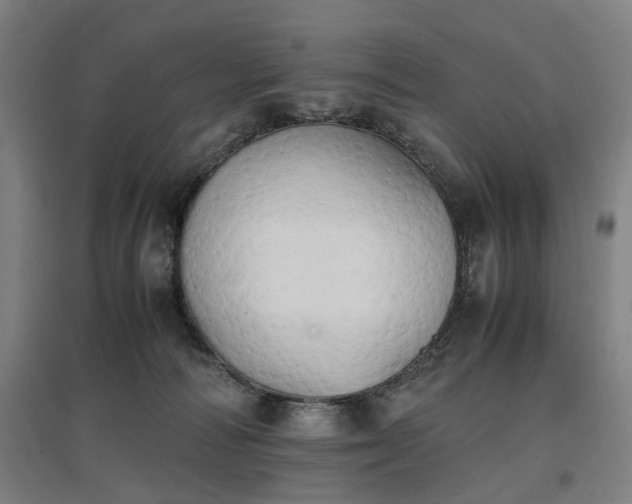 X0000096960226200802151243