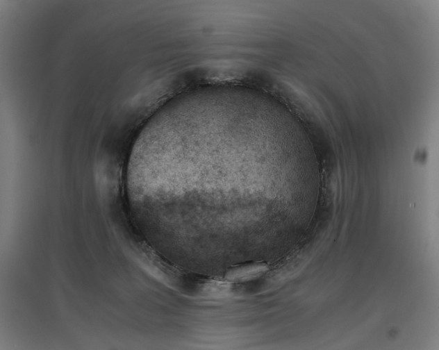 X0000096960227200802151243