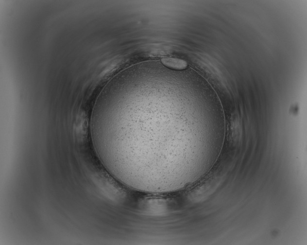 X0000096960228200802151243