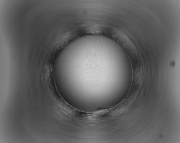 X0000096960229200802151243