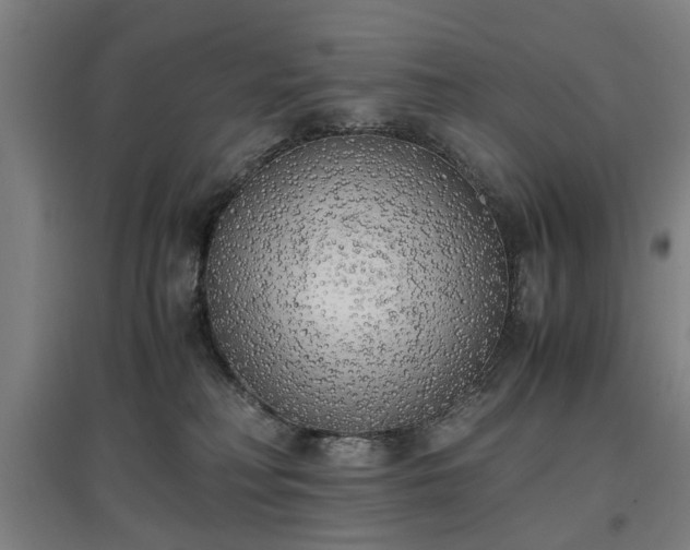 X0000096960230200802151243