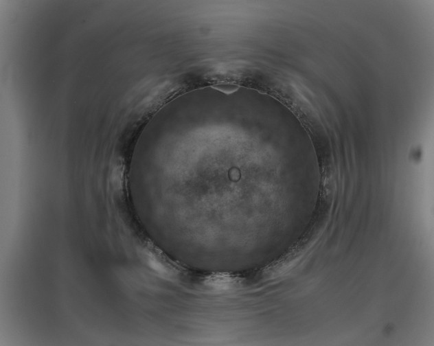 X0000096960231200802151243