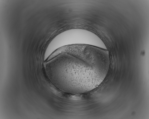 X0000096960232200802151243