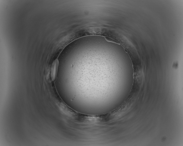 X0000096960233200802151243