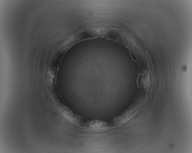 X0000096960235200802151243