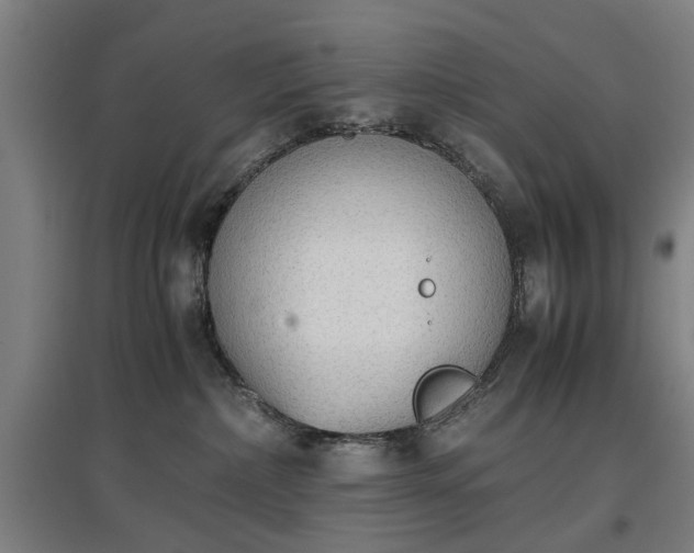 X0000096960236200802151243