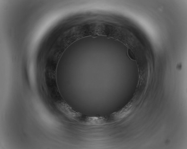 X0000096960239200802151243