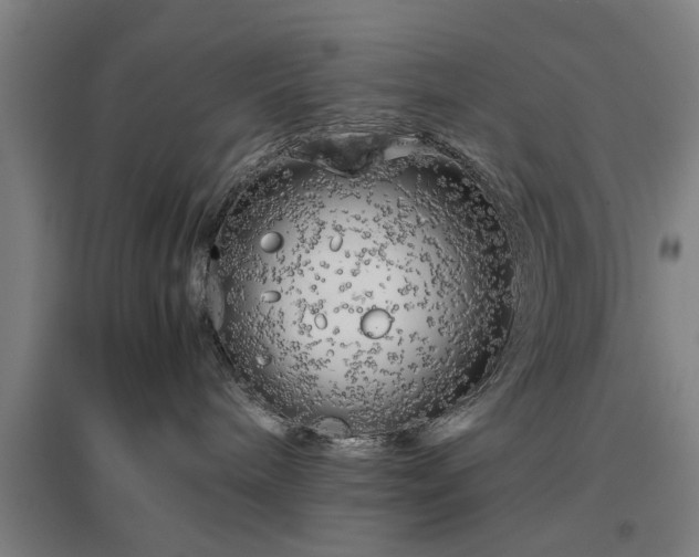 X0000096960240200802151243