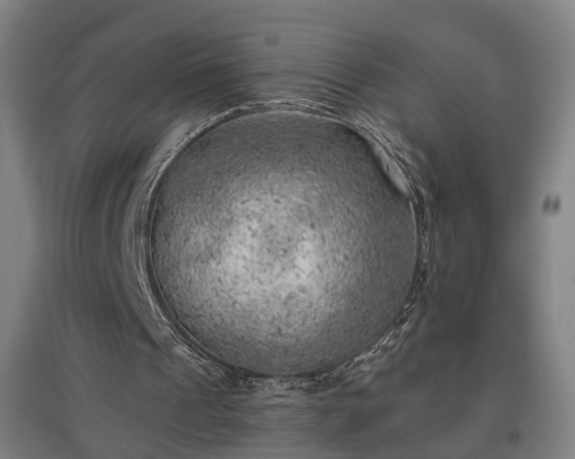 X0000096960241200802151242