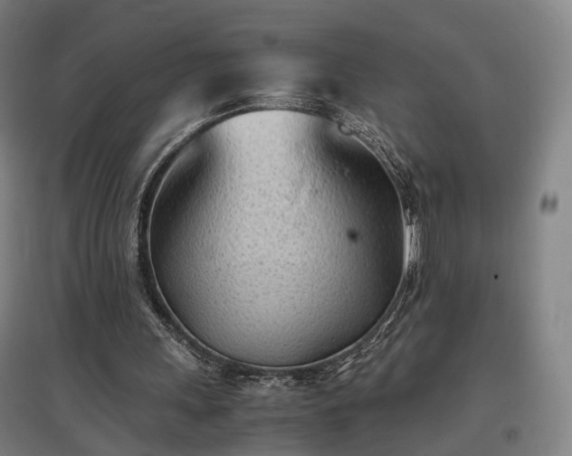 X0000096960243200802151242