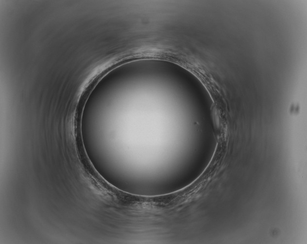 X0000096960244200802151242