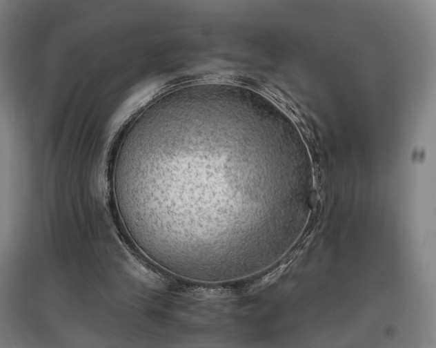 X0000096960245200802151242