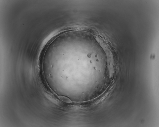 X0000096960246200802151242