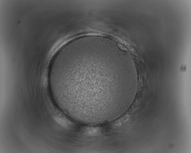 X0000096960247200802151242