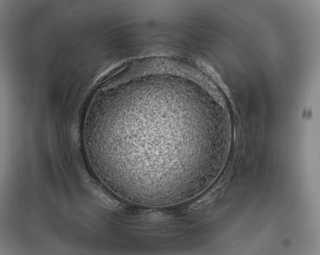 X0000096960249200802151242