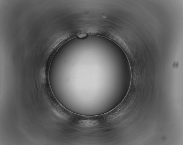 X0000096960251200802151242