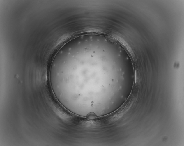 X0000096960253200802151242