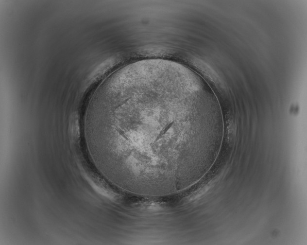 X0000096960254200802151242