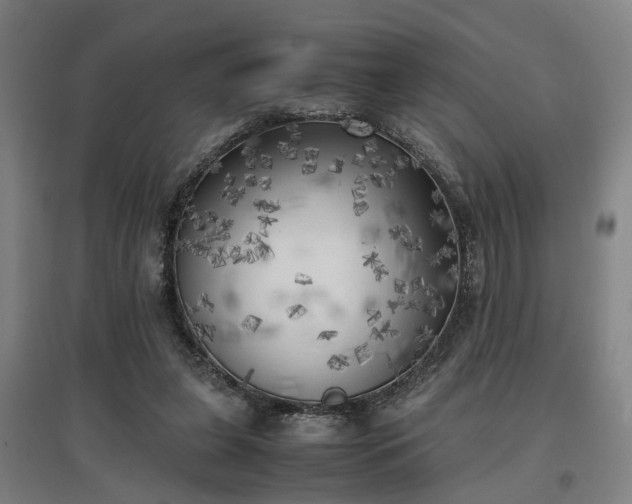 X0000096960255200802151242