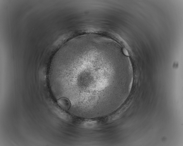 X0000096960257200802151242