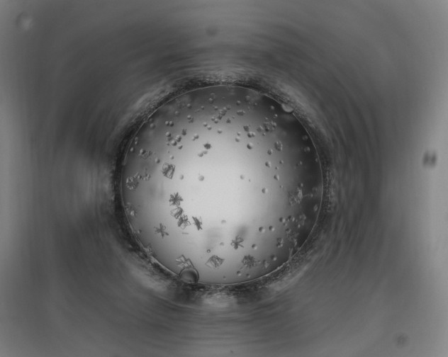 X0000096960258200802151242