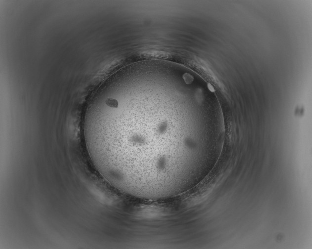 X0000096960259200802151242