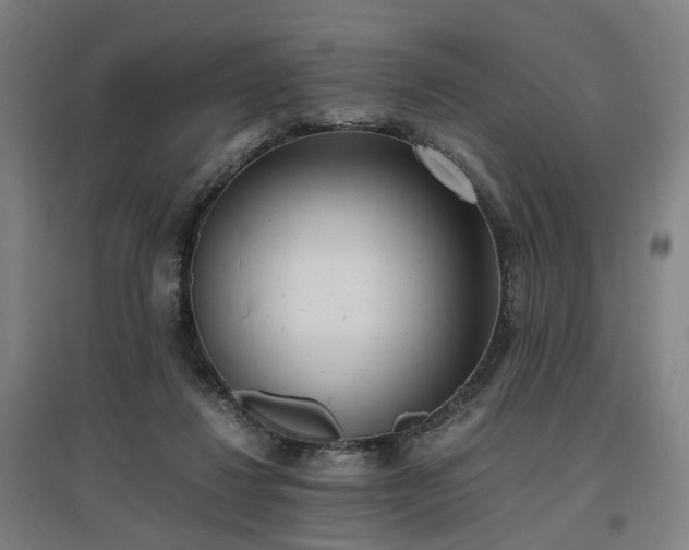 X0000096960260200802151242