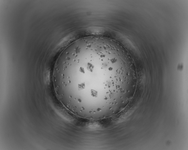 X0000096960262200802151242