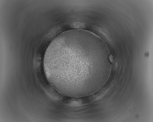 X0000096960263200802151242