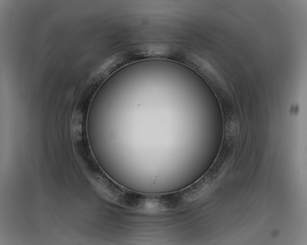 X0000096960264200802151242