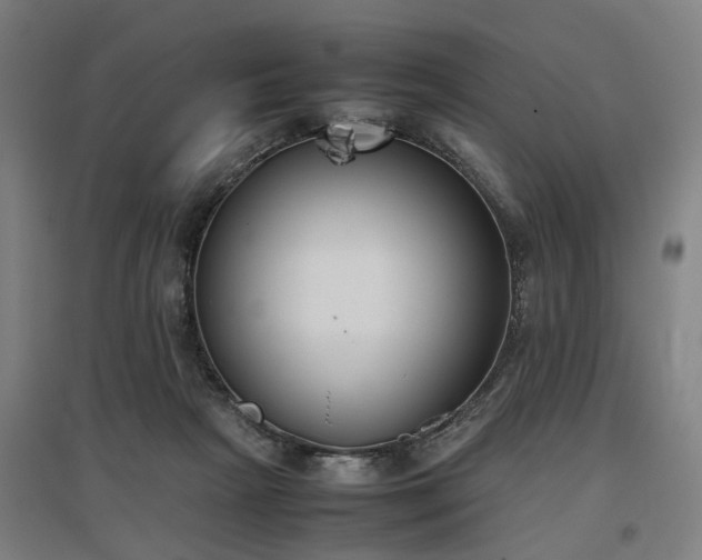 X0000096960265200802151242