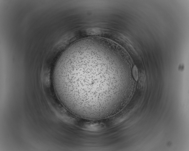 X0000096960267200802151242
