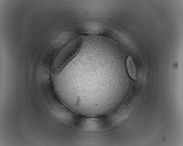 X0000096960268200802151242