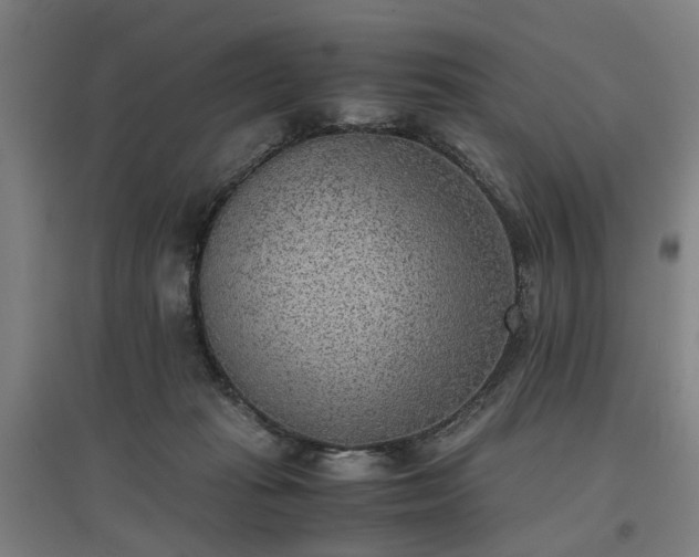 X0000096960269200802151242