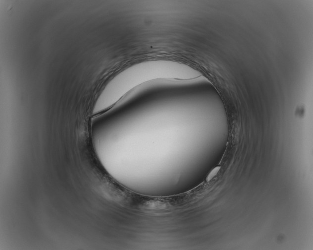 X0000096960272200802151242