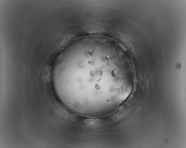 X0000096960273200802151242