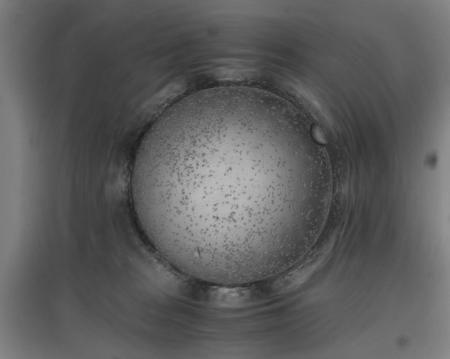 X0000096960277200802151242