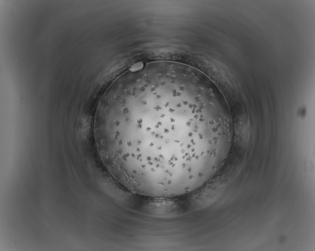 X0000096960278200802151242