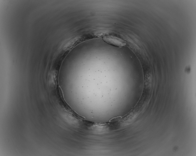 X0000096960280200802151242