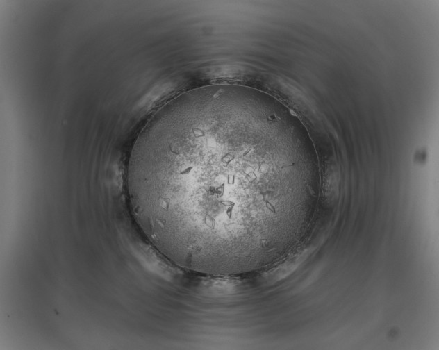 X0000096960282200802151243