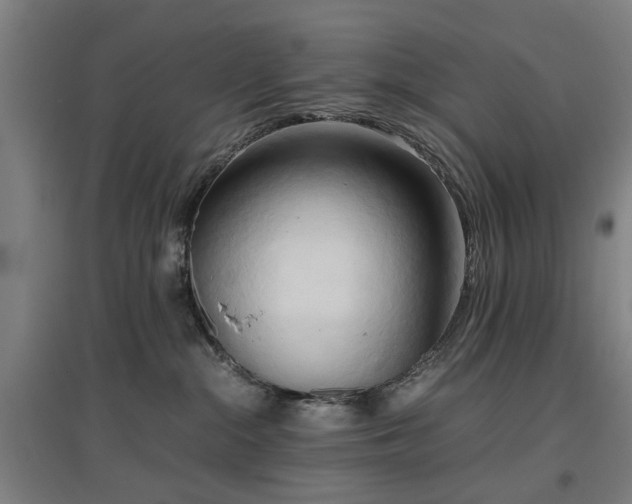 X0000096960284200802151243