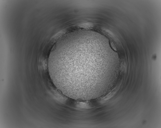 X0000096960285200802151243