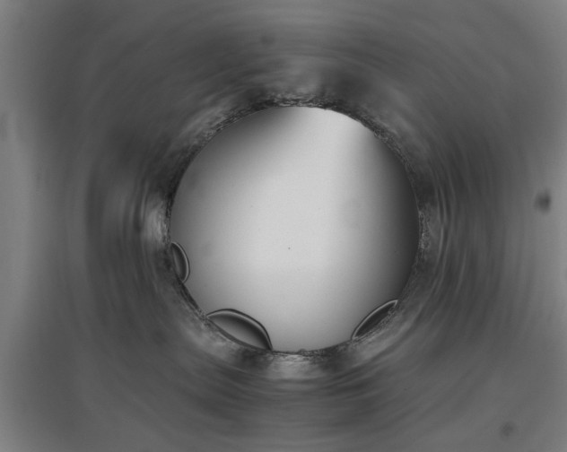 X0000096960287200802151243