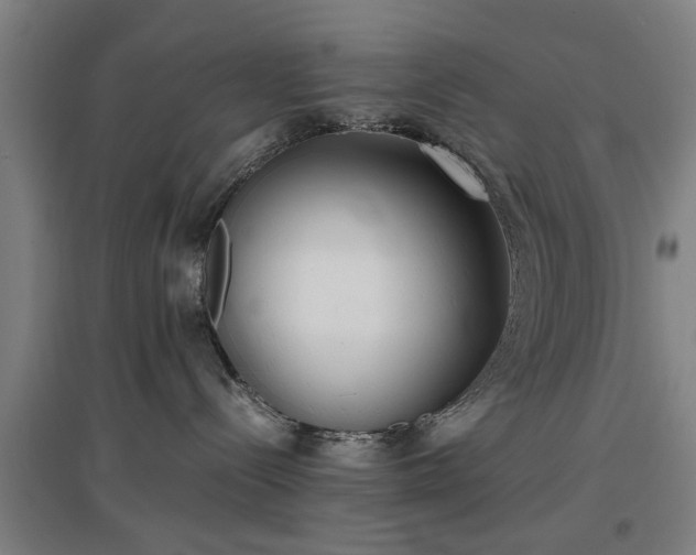 X0000096960288200802151243