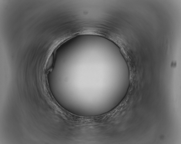 X0000096960289200802151242